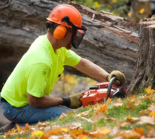 tree services Cuyahoga Falls